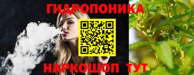 прущие грибы Волгодонск