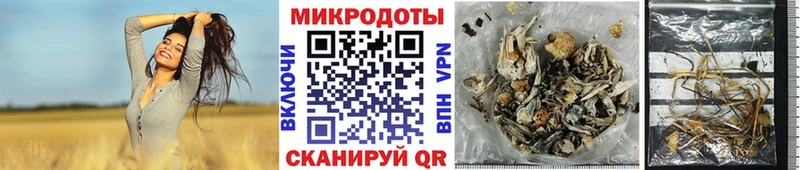 Галлюциногенные грибы MAGIC MUSHROOMS  hydra ТОР  Гулькевичи  сколько стоит 