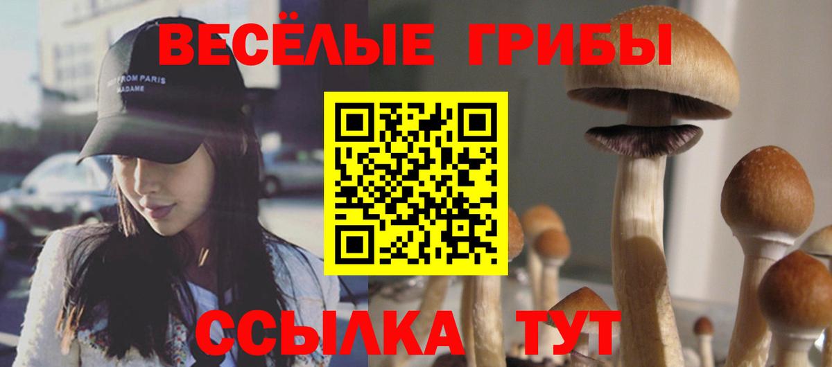 Псилоцибиновые грибы Magic Shrooms  Гулькевичи  Галлюциногенные грибы Magic Shrooms 